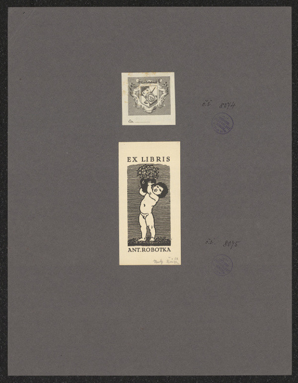 Bohumír Čáp – Antonín Robotka 