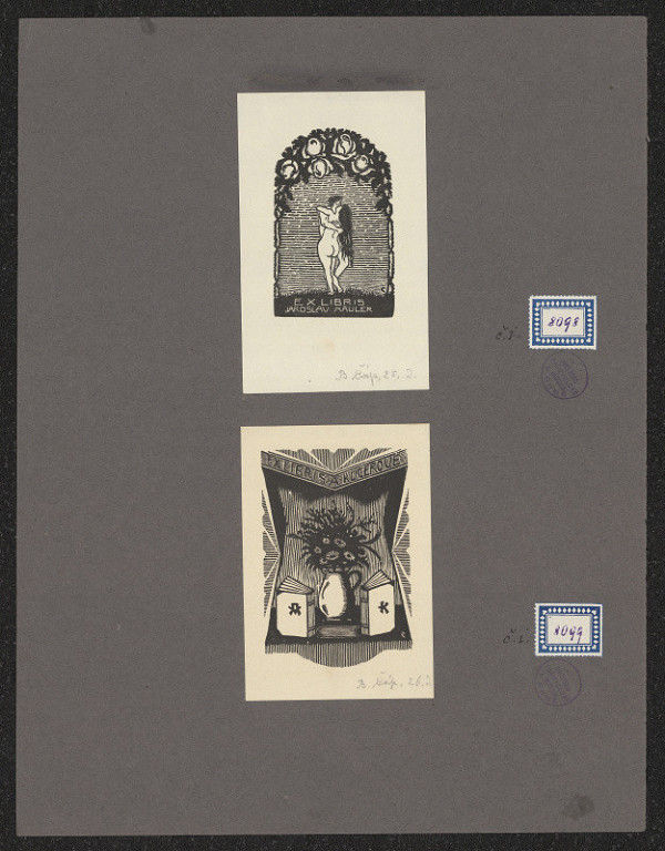 Bohumír Čáp – Jaroslav Mauler 