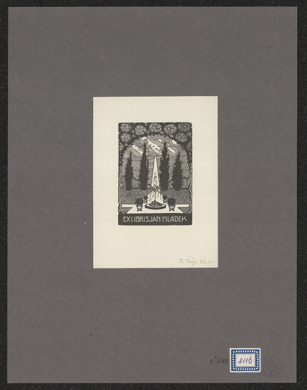 Bohumír Čáp – Jan Mládek 