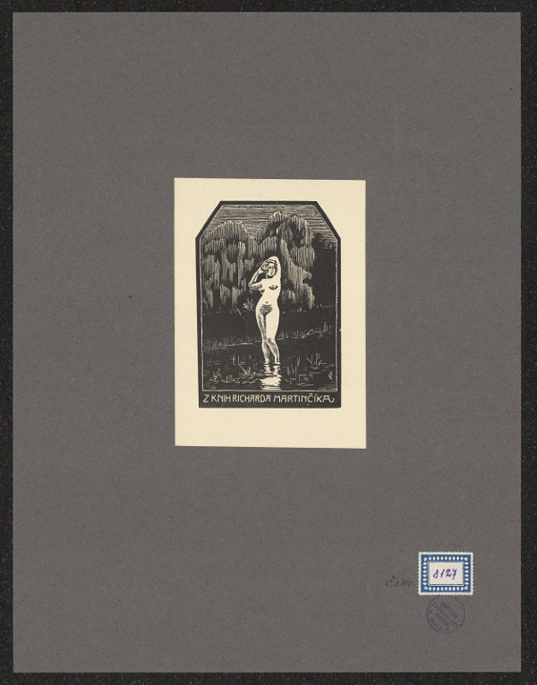 Bohumír Čáp – Richard Martinčík 