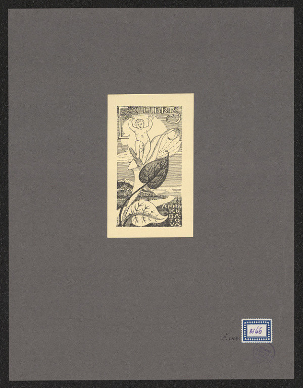 neznámý – Anna Kubátová 