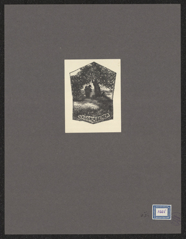 neznámý – Beneš 