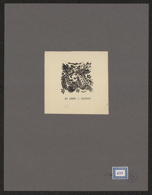 neznámý – J. Nauman 