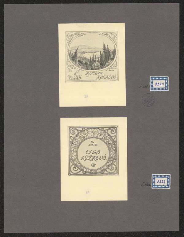 Jan Paroubek – Božena Růžková 