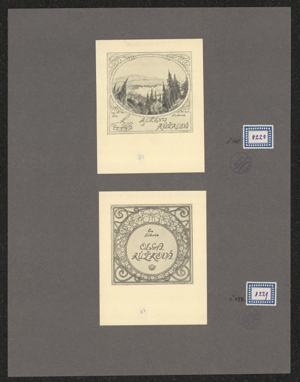 Jan Paroubek – Olga Růžková 