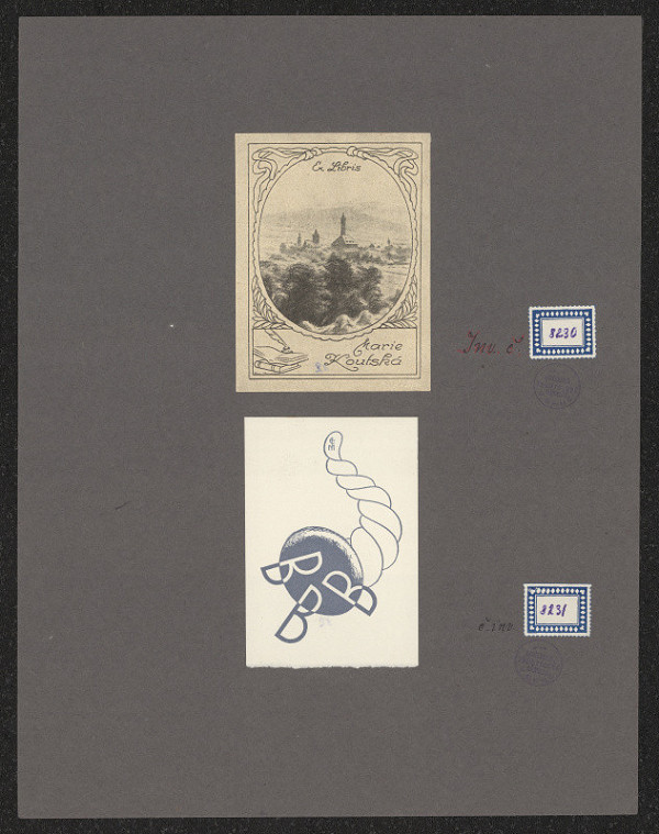 Jan Paroubek – Marie Koutská 