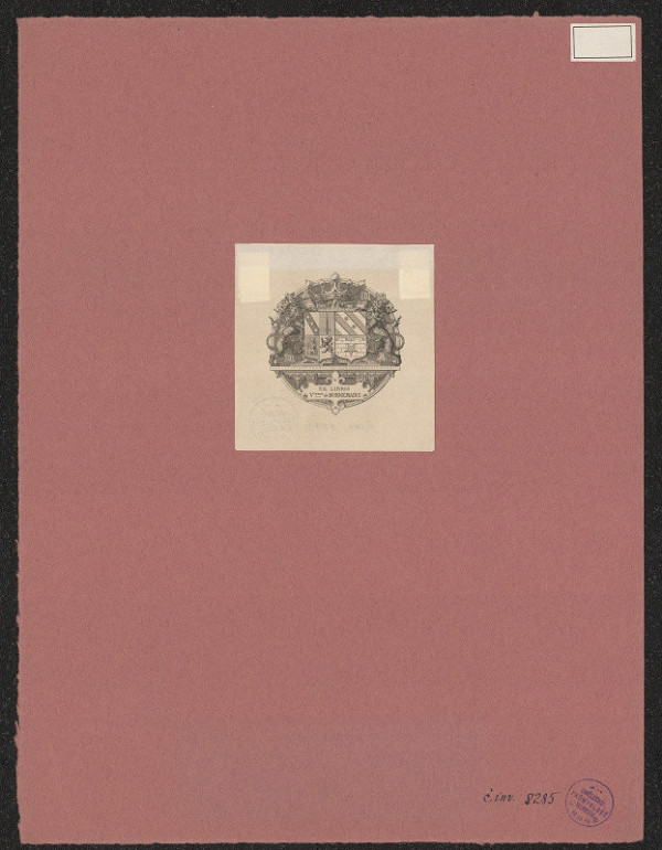 neznámý – Vicomtesse de Bonnemains 