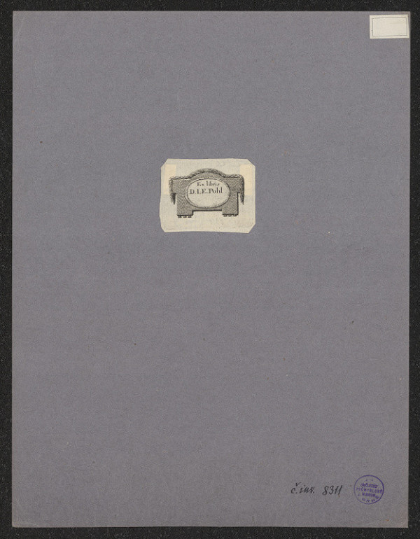 neznámý – D. J. E. Pohl 