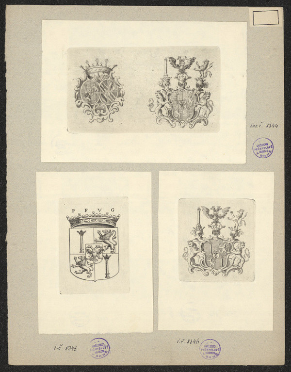 neznámý – von Goess 