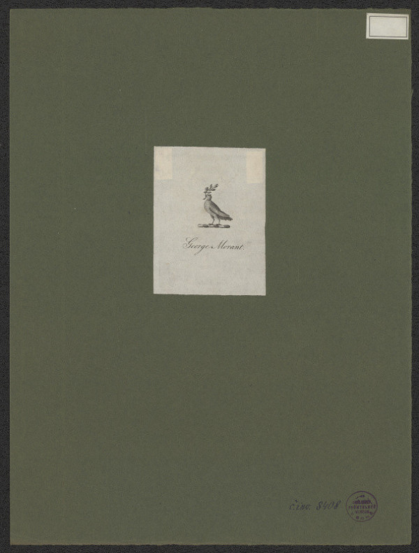 neznámý – George Morant 