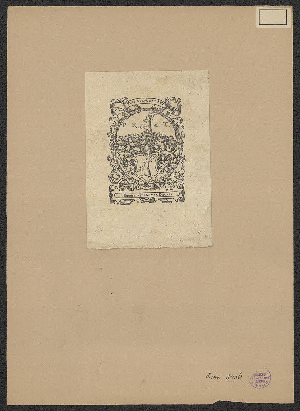 neznámý – P K Z T (Petr Kodicill z Tulechova) 