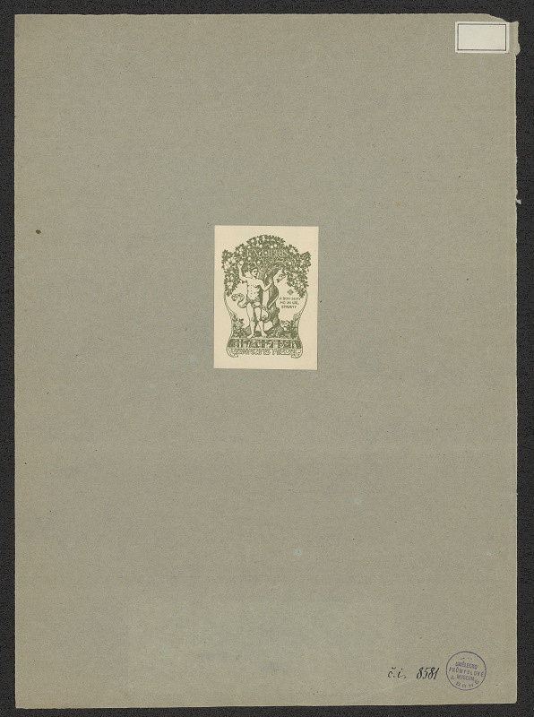 neznámý – Miguel Germans 