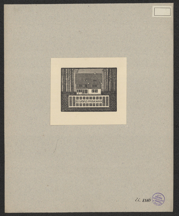 neznámý – Frida Koch 