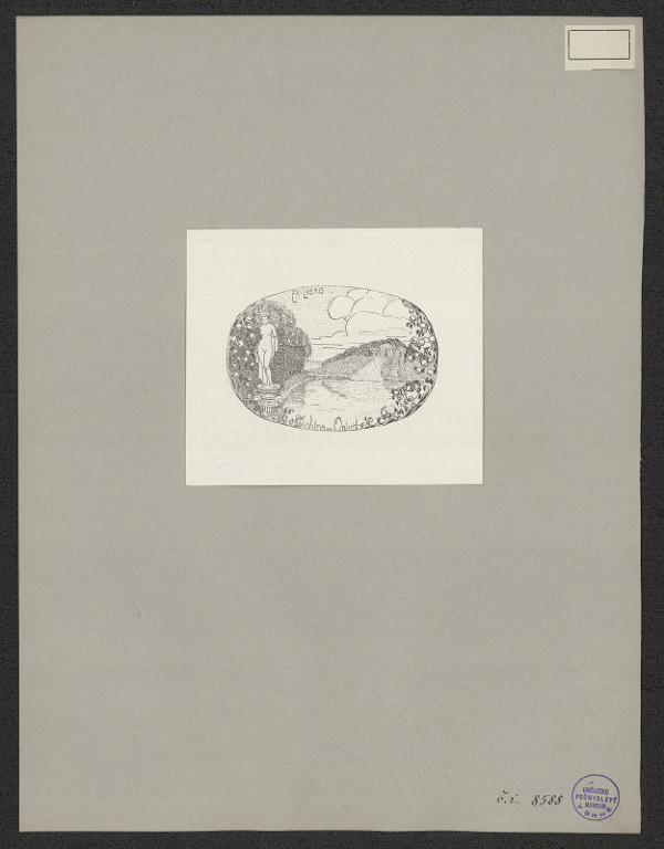 neznámý – Wilma von Orlich 