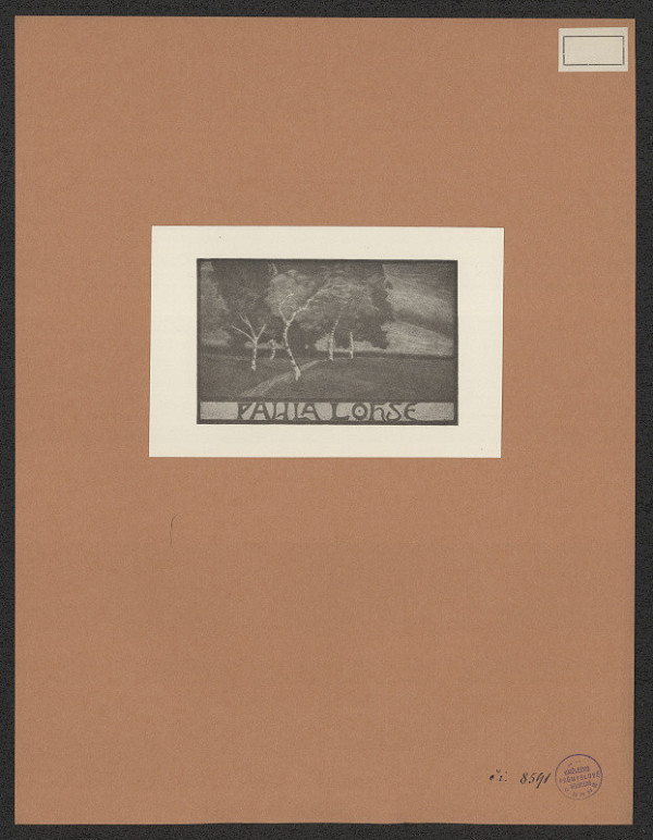 neznámý – Paula Lohse 