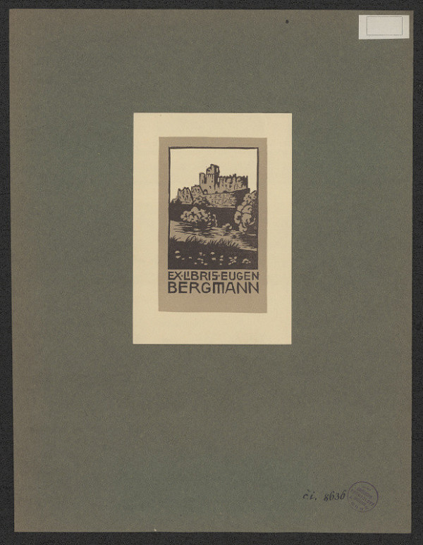 neznámý – Eugen Bergmann 