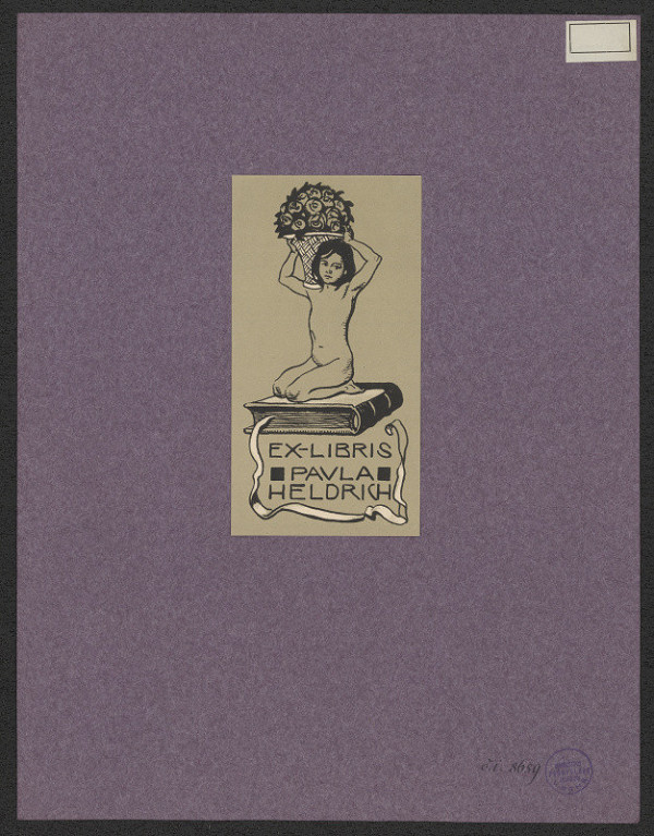 neznámý – Pavla Heldrich 