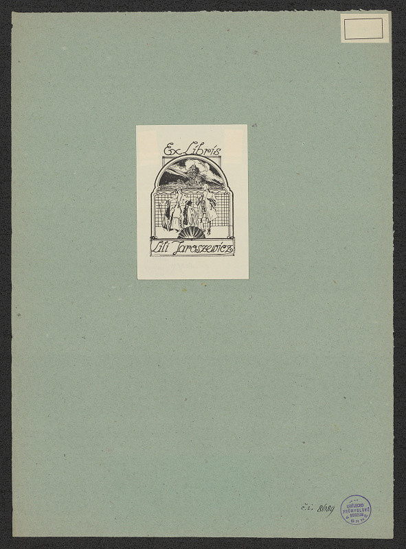 neznámý – Lili Jaroszewicz 