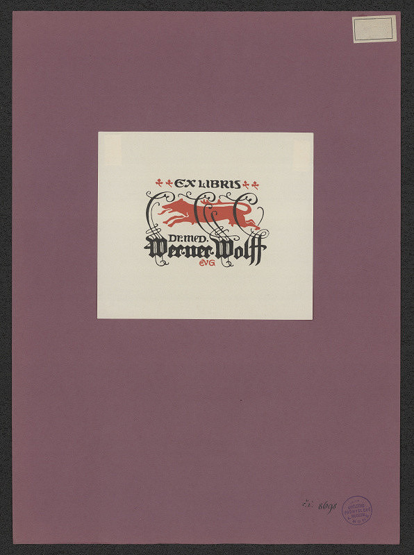 neznámý – Dr. med. Werner Wolff 