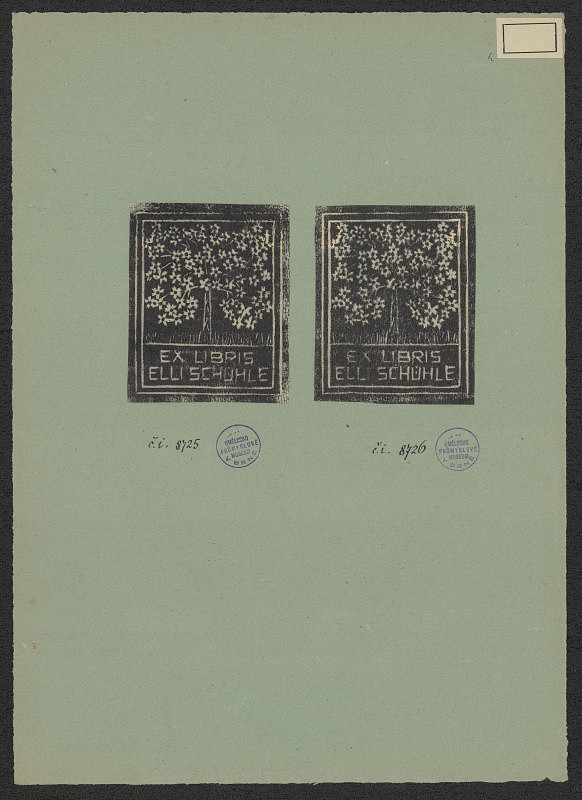 neznámý – Elli Schuhle 