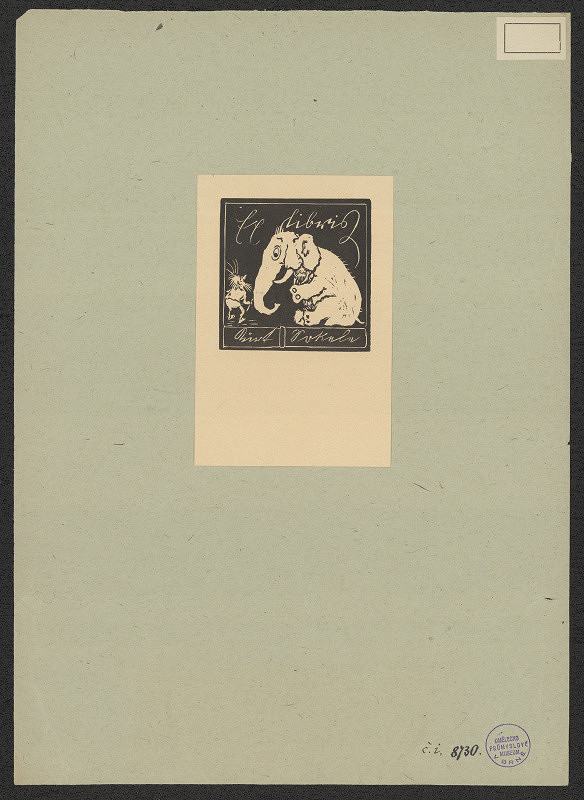 neznámý – Kurt Sokele 