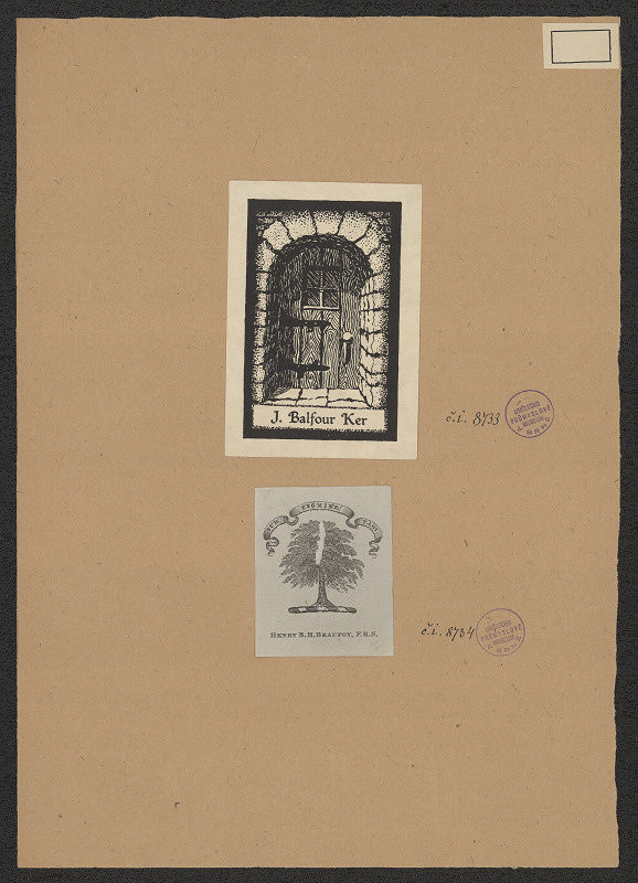 neznámý – Henry Beaufoy 