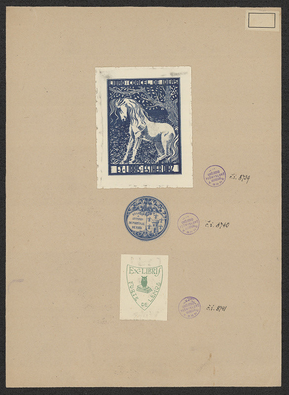 neznámý – Forte de Lemos 