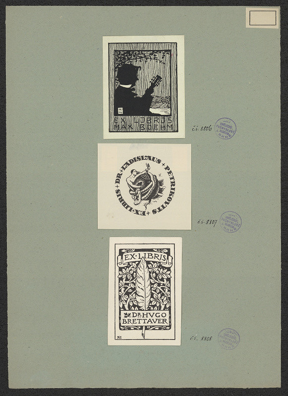 neznámý – Dr. Hugo Brettauer 