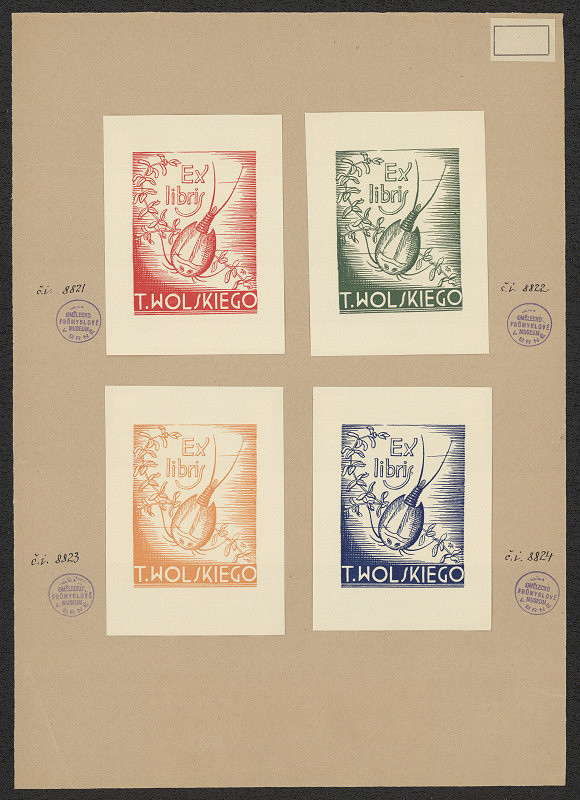 neznámý – T. Wolski 