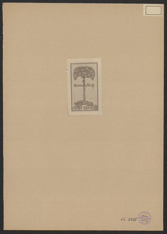 neznámý – Gertrud Mess 