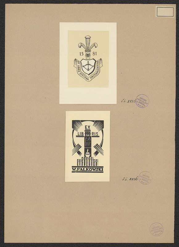 neznámý – W. Falkowski 