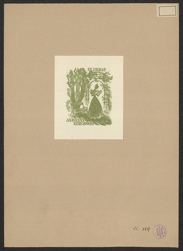 neznámý – Antonie Kurzowa 