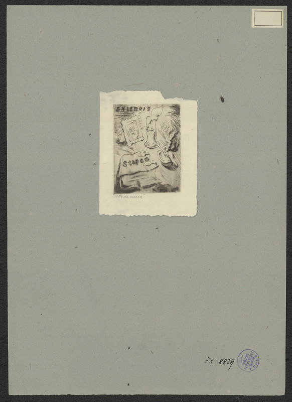 neznámý – Stepan 