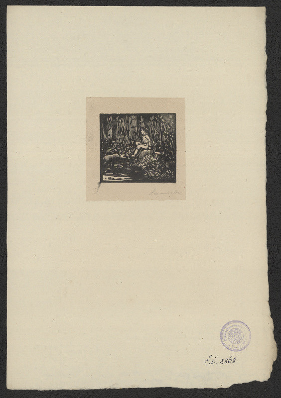 Karel Němec – (bez názvu) 