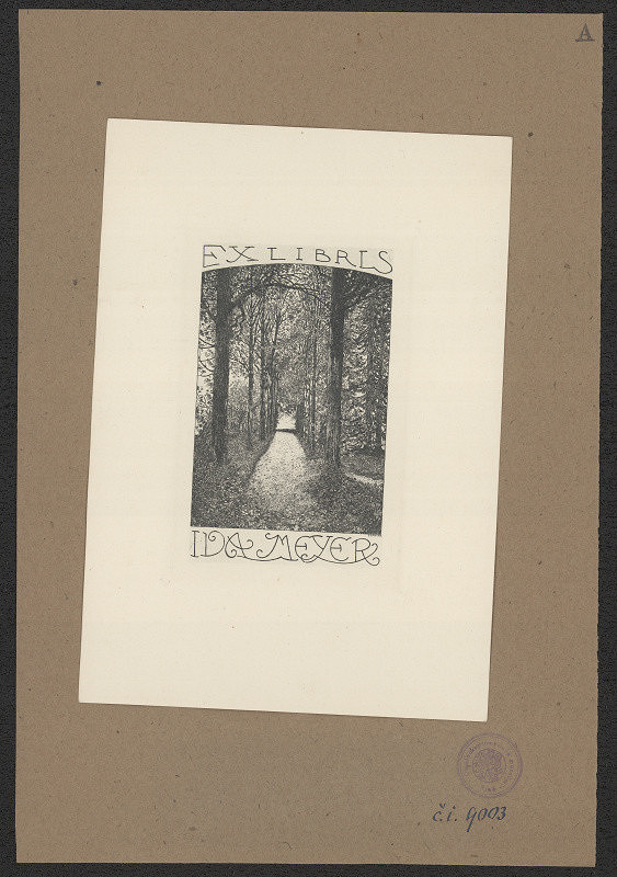 Emil Anner – Ida Meyerová 