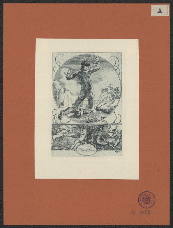 Ernhard Amadeus-Dier – Dr. Jos. Lenze 