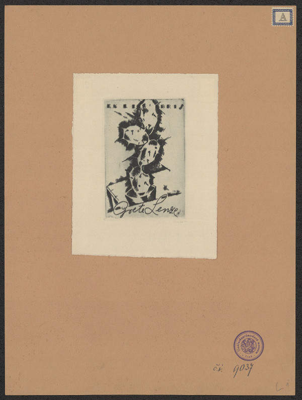 neznámý – Grete Lenze 
