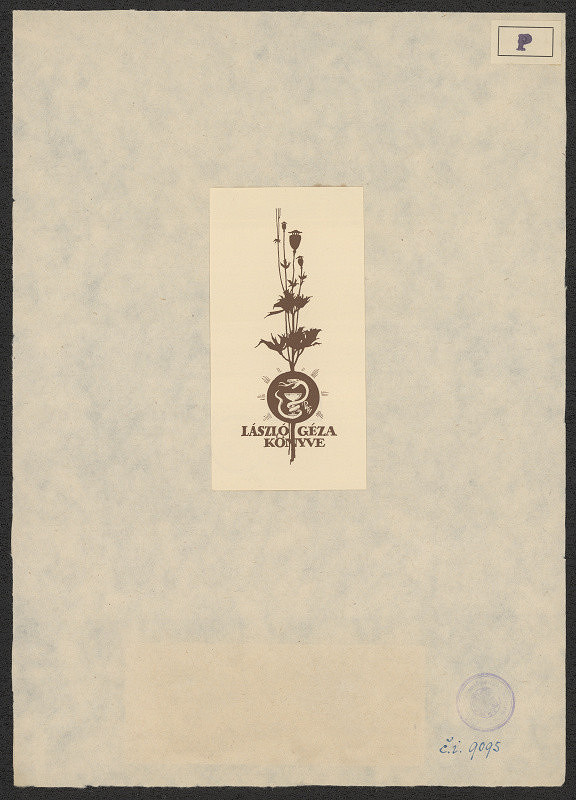 Bela (Albert) Petry – László Gézá 