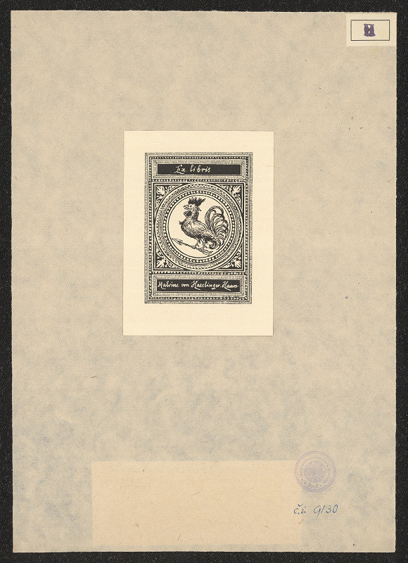 Felix von Hasslinger – Malvina de Hasslinger-Haan 