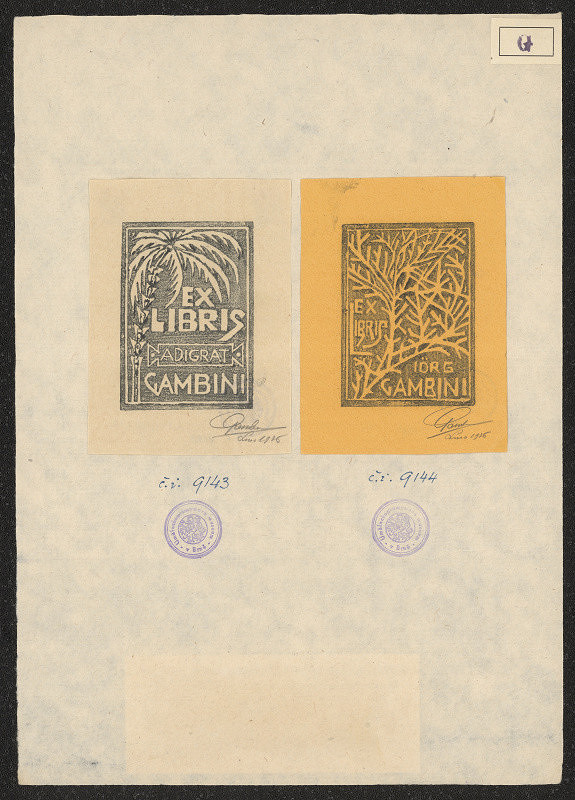 Jorg Gambini – Gambini Adigrat 