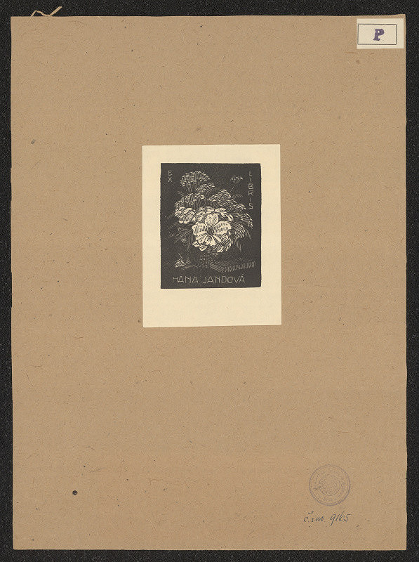 Jan Paroubek – Hana Jandová 