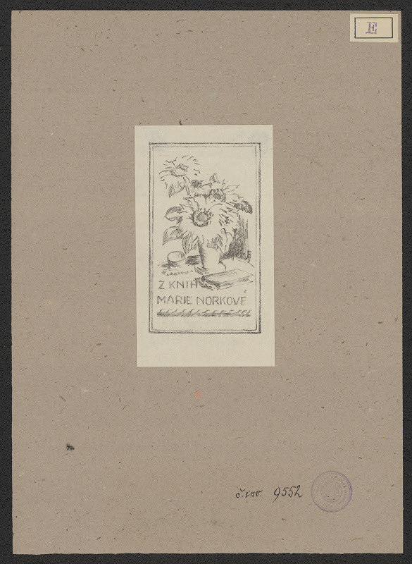 Jana Esteřáková – Marie Norková 