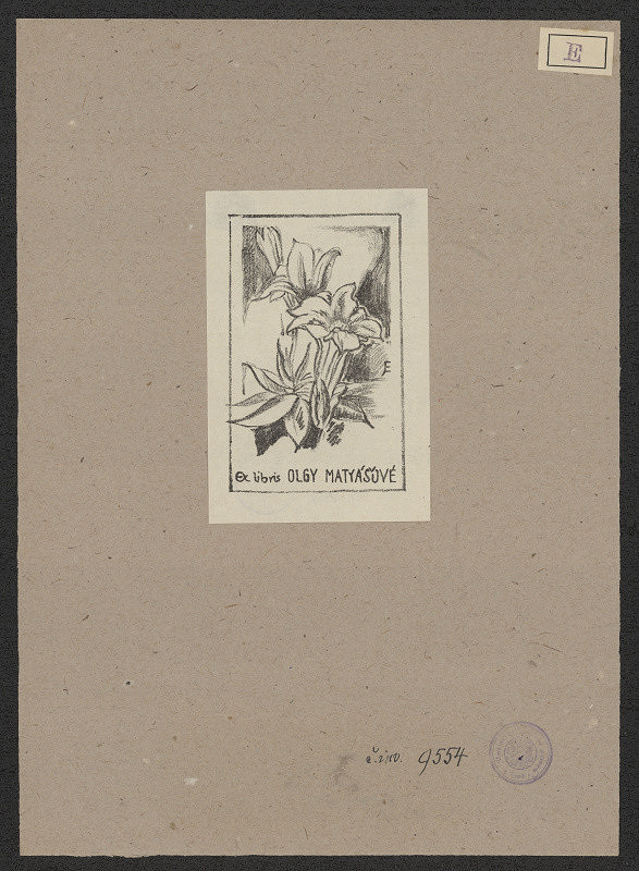 Jana Esteřáková – Olga Matyášová 