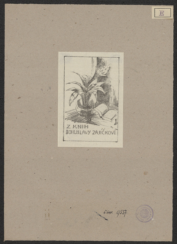 Jana Esteřáková – Bohuslava Zajíčková 