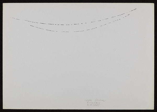 Dušan Chládek – Cesta lesem 