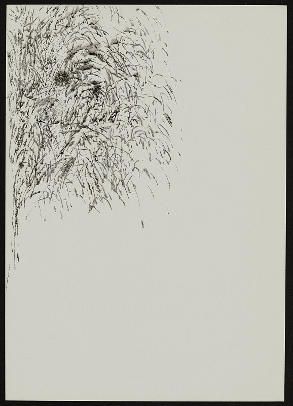 Eleonora Pražáková – Přírodní 1 