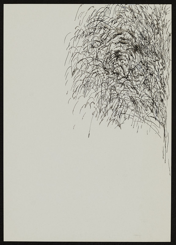 Eleonora Pražáková – Přírodní 2 