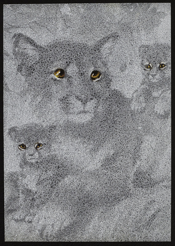 Rudolf Fila – Bez názvu