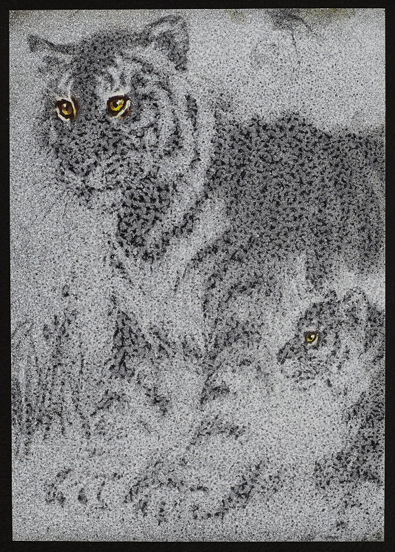 Rudolf Fila – Bez názvu