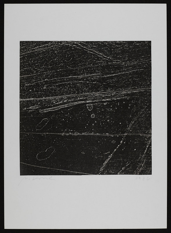 Miroslav Koval – Bez názvu